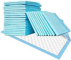 Preg Mama 10pcs Disposable Hospital Mat