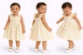 Nara Muslin Stripped Dress