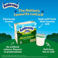 Ambrosia Devon Custard 4pcs