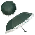 Large Size Umbrella