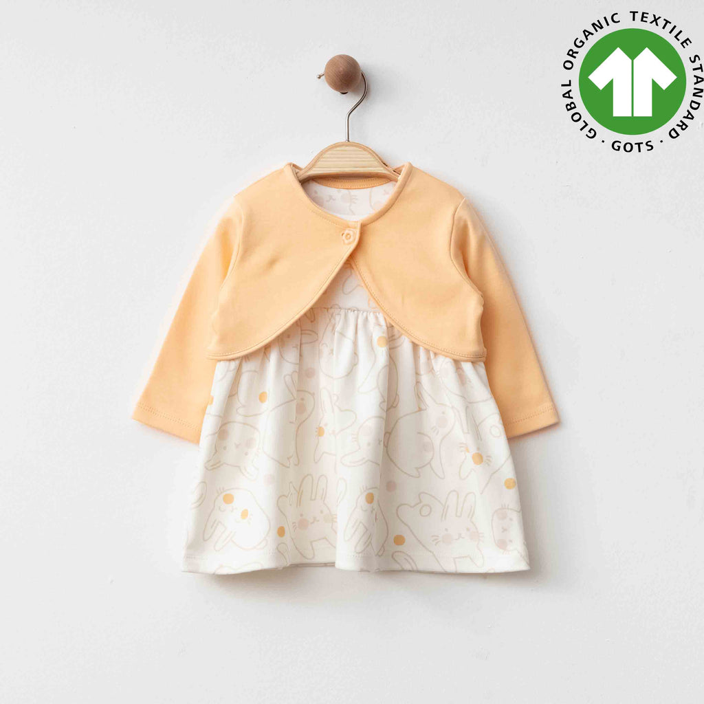Eslenza 2 pcs Somon Gurls Dress With Jacket