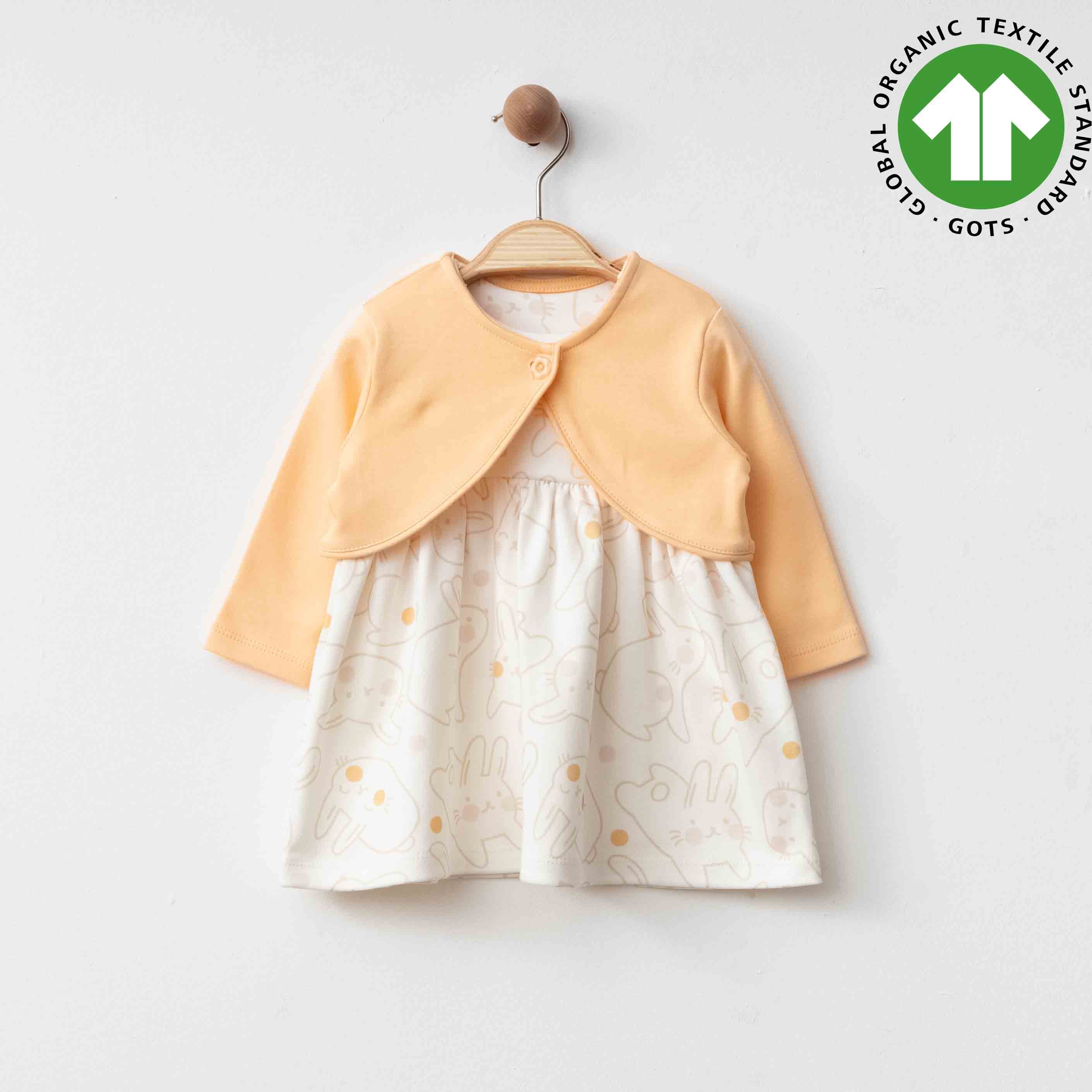 Eslenza 2 pcs Somon Gurls Dress With Jacket